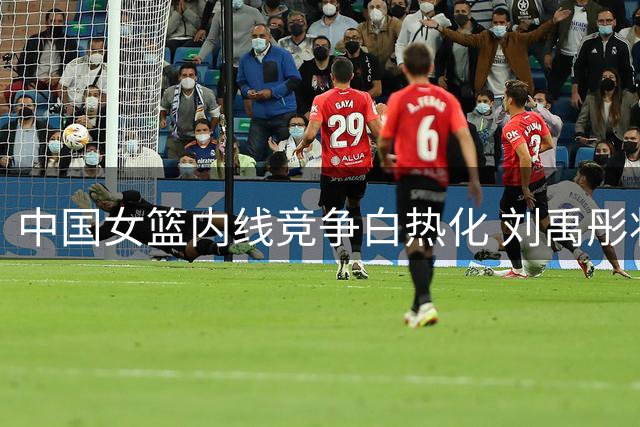 中国女篮内线竞争白热化 刘禹彤状态低迷恐难留队