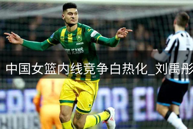 中国女篮内线竞争白热化 刘禹彤状态低迷恐难留队