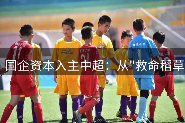 国企资本入主中超：从"救命稻草"到"发展瓶颈"的转型之痛