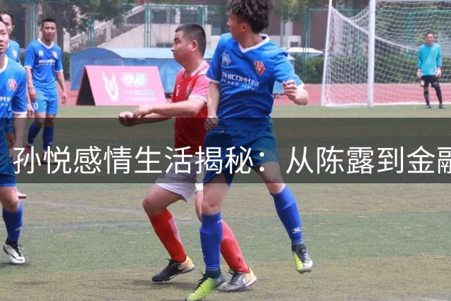 孙悦感情生活揭秘：从陈露到金融才女的婚姻选择