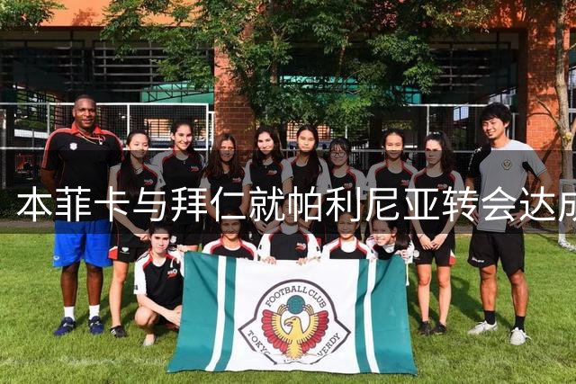 本菲卡与拜仁就帕利尼亚转会达成初步共识