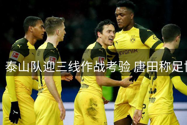 泰山队迎三线作战考验 唐田称足协杯对阵海港最为关键