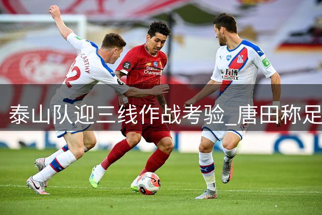 泰山队迎三线作战考验 唐田称足协杯对阵海港最为关键