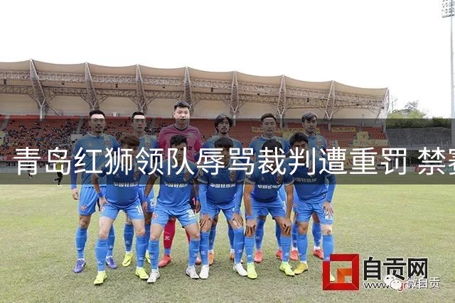 青岛红狮领队辱骂裁判遭重罚 禁赛5场并处2.5万罚款